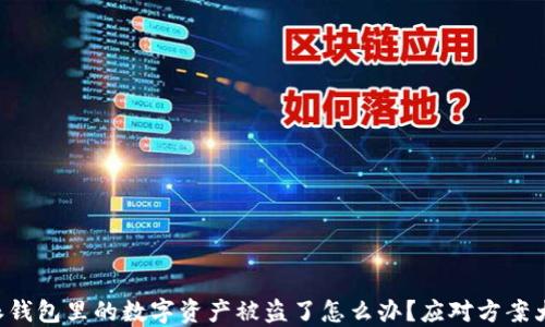 
比特派钱包里的数字资产被盗了怎么办？应对方案大揭秘！