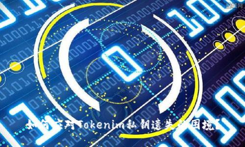 如何应对Tokenim私钥遗失的困境？