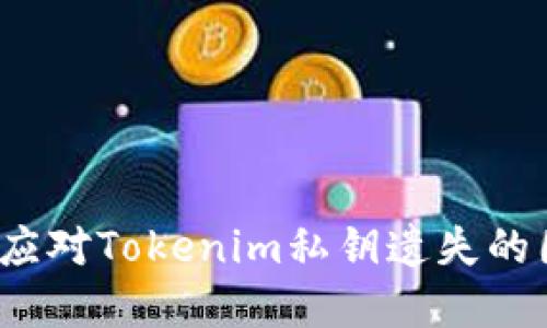 如何应对Tokenim私钥遗失的困境？