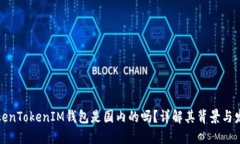 TokenTokenIM钱包是国内的吗？详解其背景与发展
