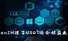 TokenIM进了USDT还会被盗走吗？