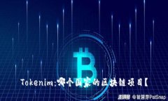 Tokenim：哪个国家的区块链项目？
