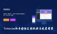 Tokenim的币安链支持现状与发展前景