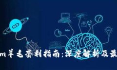 Tokenim羊毛套利指南：深度解析及最佳策略