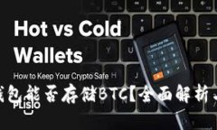 Tokenim钱包能否存储BTC？全面解析与使用指南