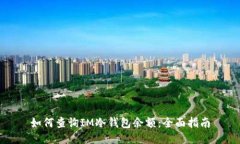 如何查询IM冷钱包余额：全面指南