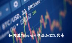 如何在Tokenim中添加ZIL代币